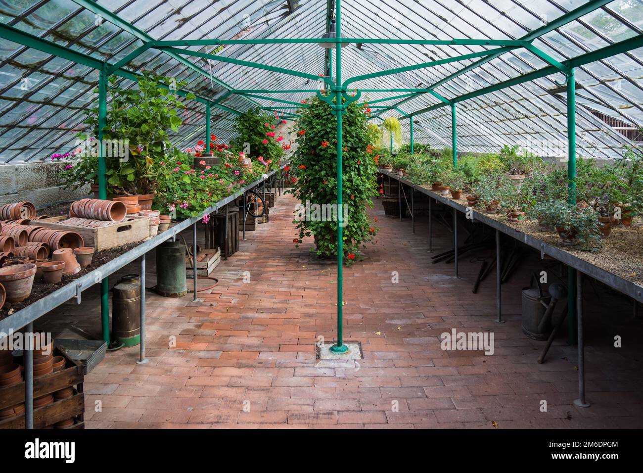 Vecchia casa di coltivazione botanica con diverse piante Foto Stock