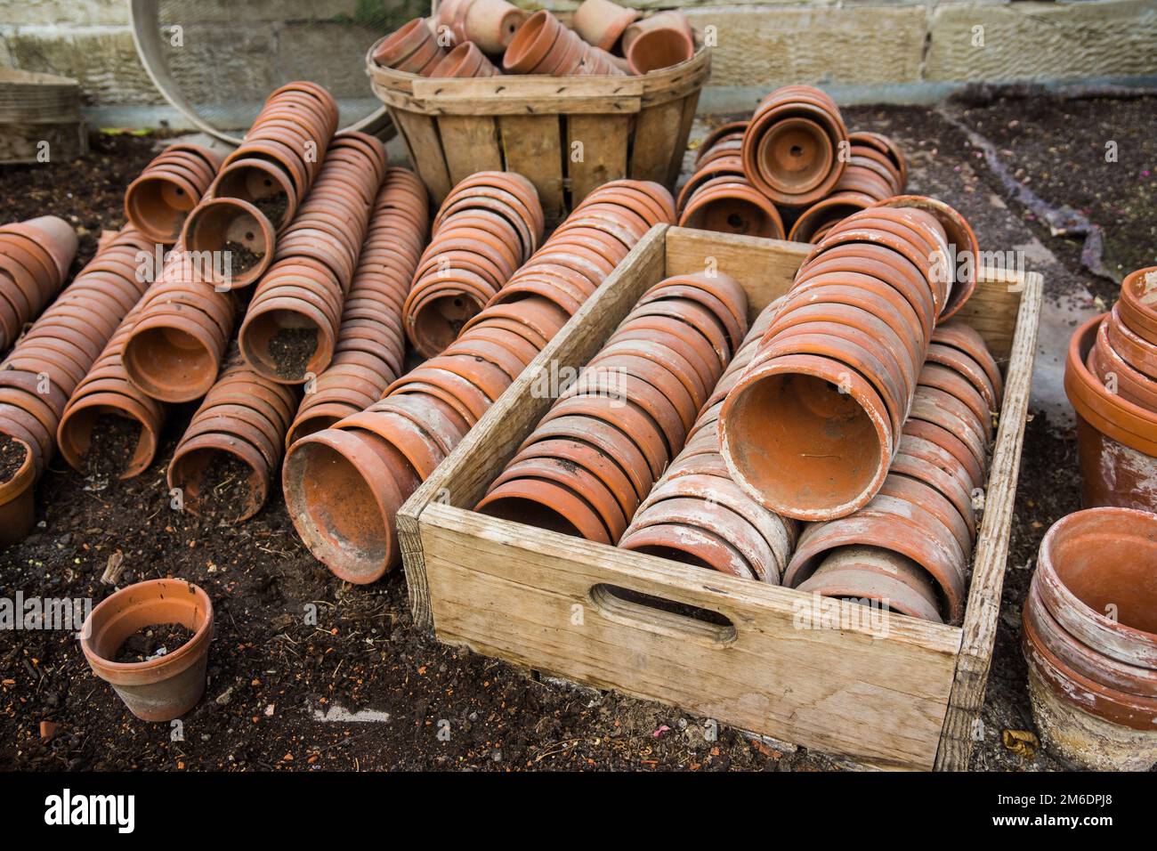 Vasi di fiori di argilla in vecchio box di legno Foto Stock