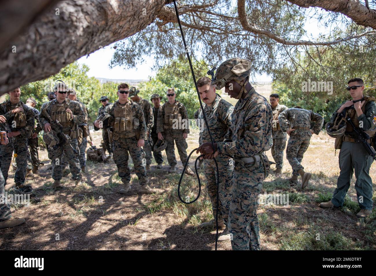 STATI UNITI Marines con la Marine Expeditionary Unit 13th impara a sollevarsi negli alberi per recuperare i piloti espulsi durante un corso di recupero tattico del personale aeronautico al Marine Corps base Camp Pendleton, California, 25 aprile 2022. Il percorso TRAP sviluppa la competenza dei Marines nelle operazioni di recupero, consentendo un recupero rapido, efficiente e sicuro del personale e delle attrezzature quando necessario, mentre vengono dislocati in futuro nella regione Indo-Pacifico. Foto Stock
