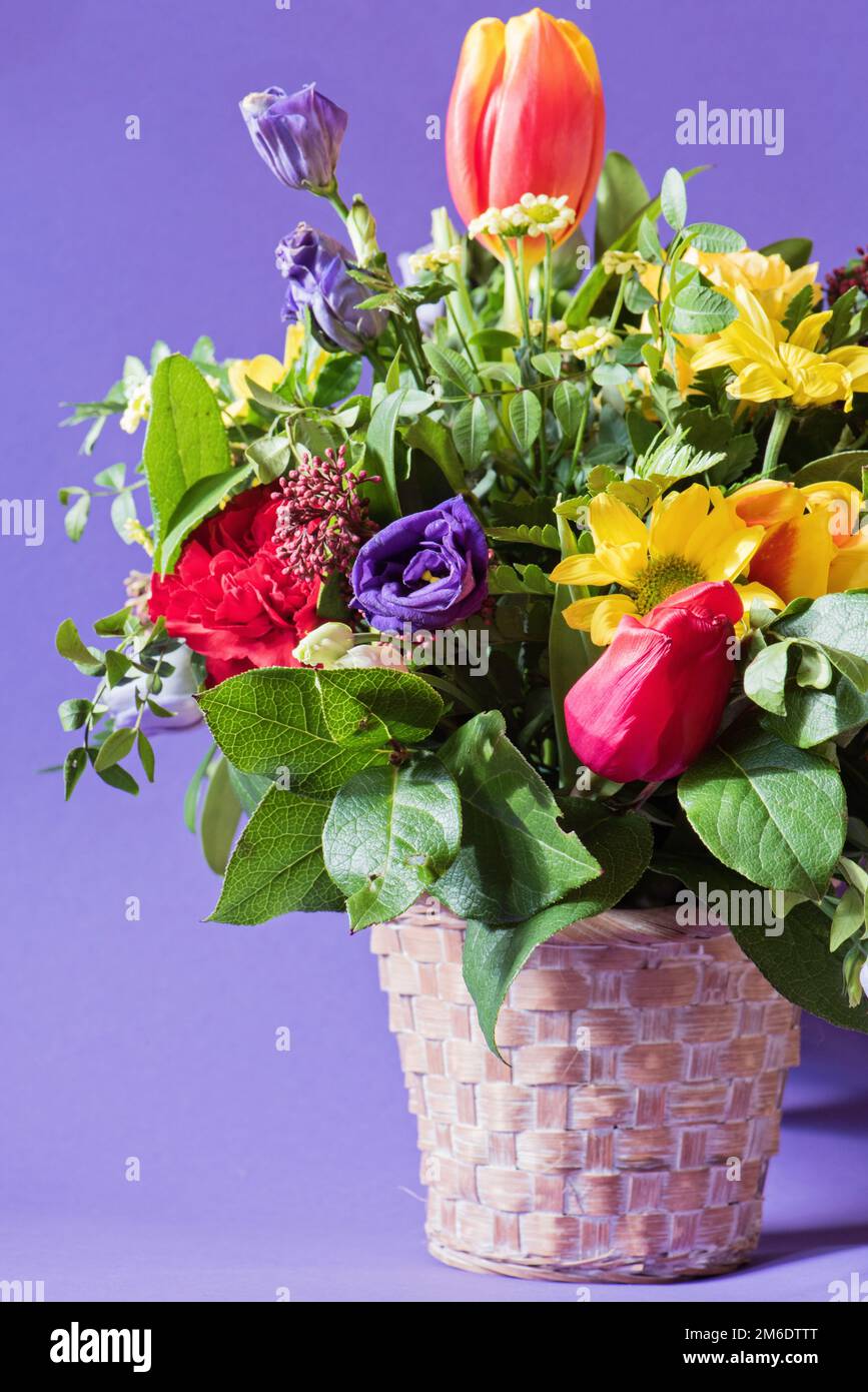 Un bouquet di fiori vibranti diversi su sfondo viola Foto Stock