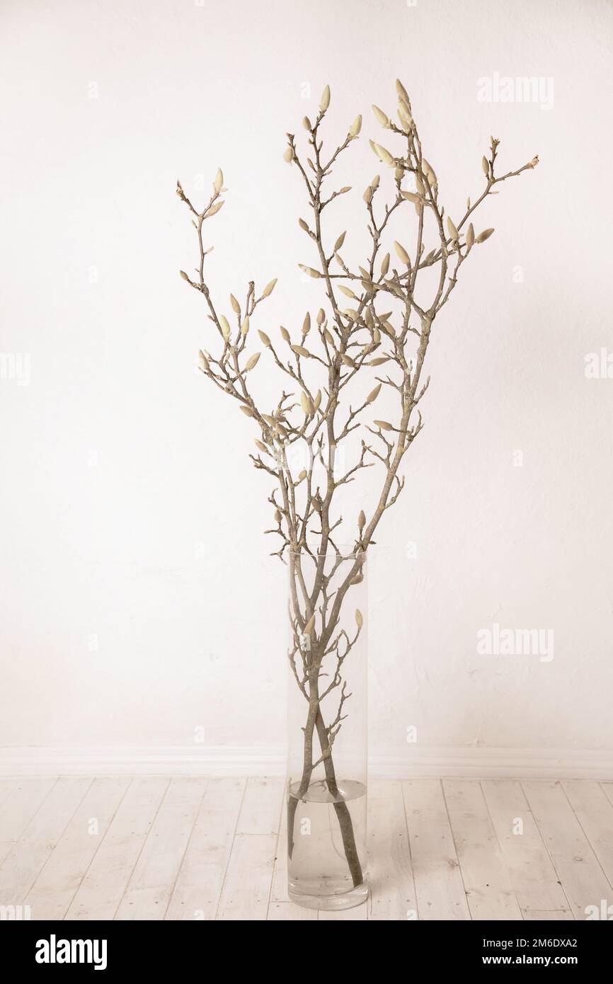 Il bellissimo albero di Pasqua danese Foto Stock