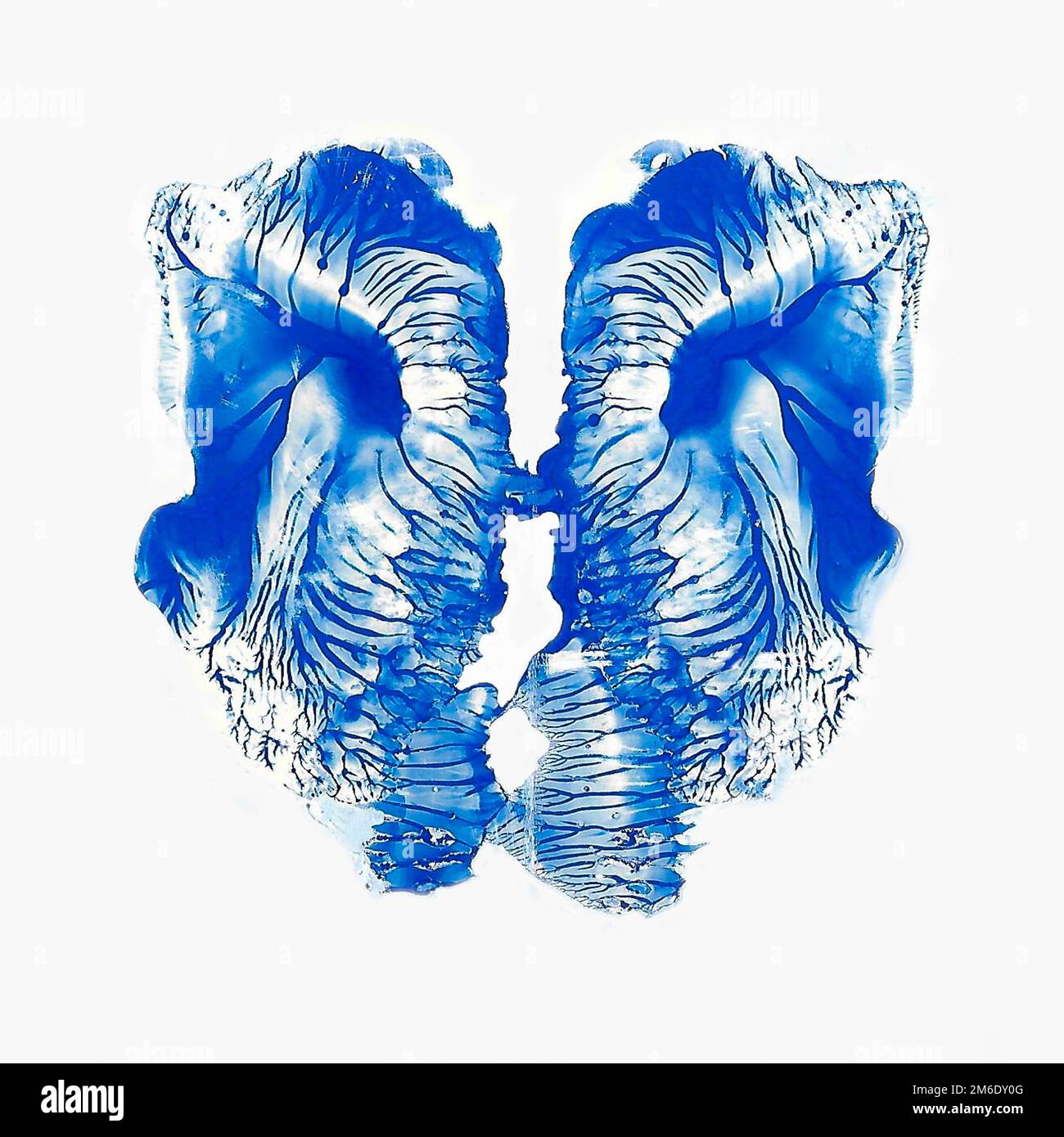 Rorschach-inkblot, inkblot , Rorschach-Test Foto Stock