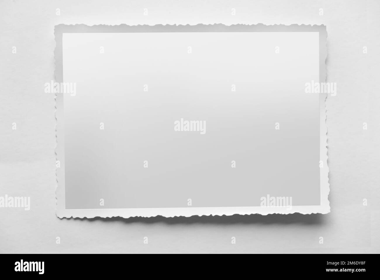 Stampa su carta, foto su carta, fotografia Foto Stock