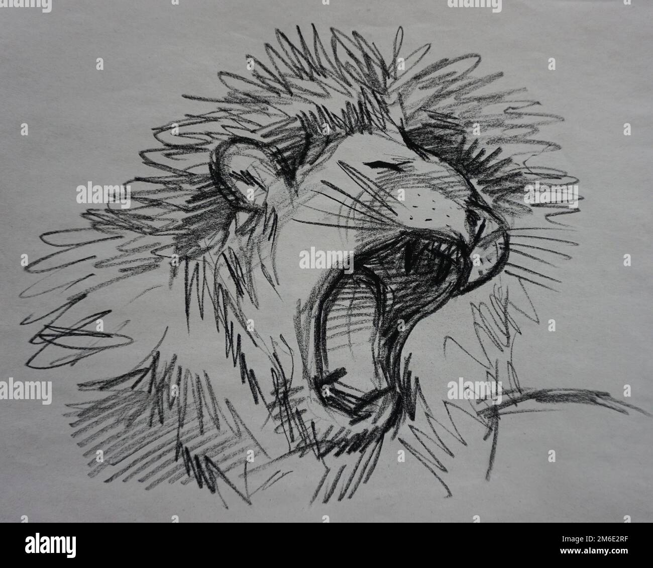 Disegno d'arte Belle Arti Sketch Cute leion , accademia d'arte Foto Stock