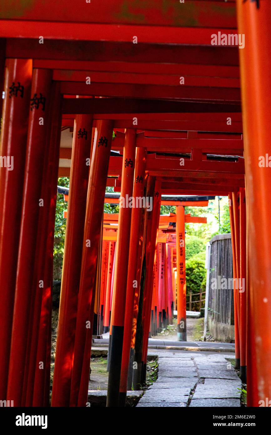 Tokyo, Giappone - 9 8 2019: Le file di archi rossi 'torii' nel santuario di Nezu Foto Stock