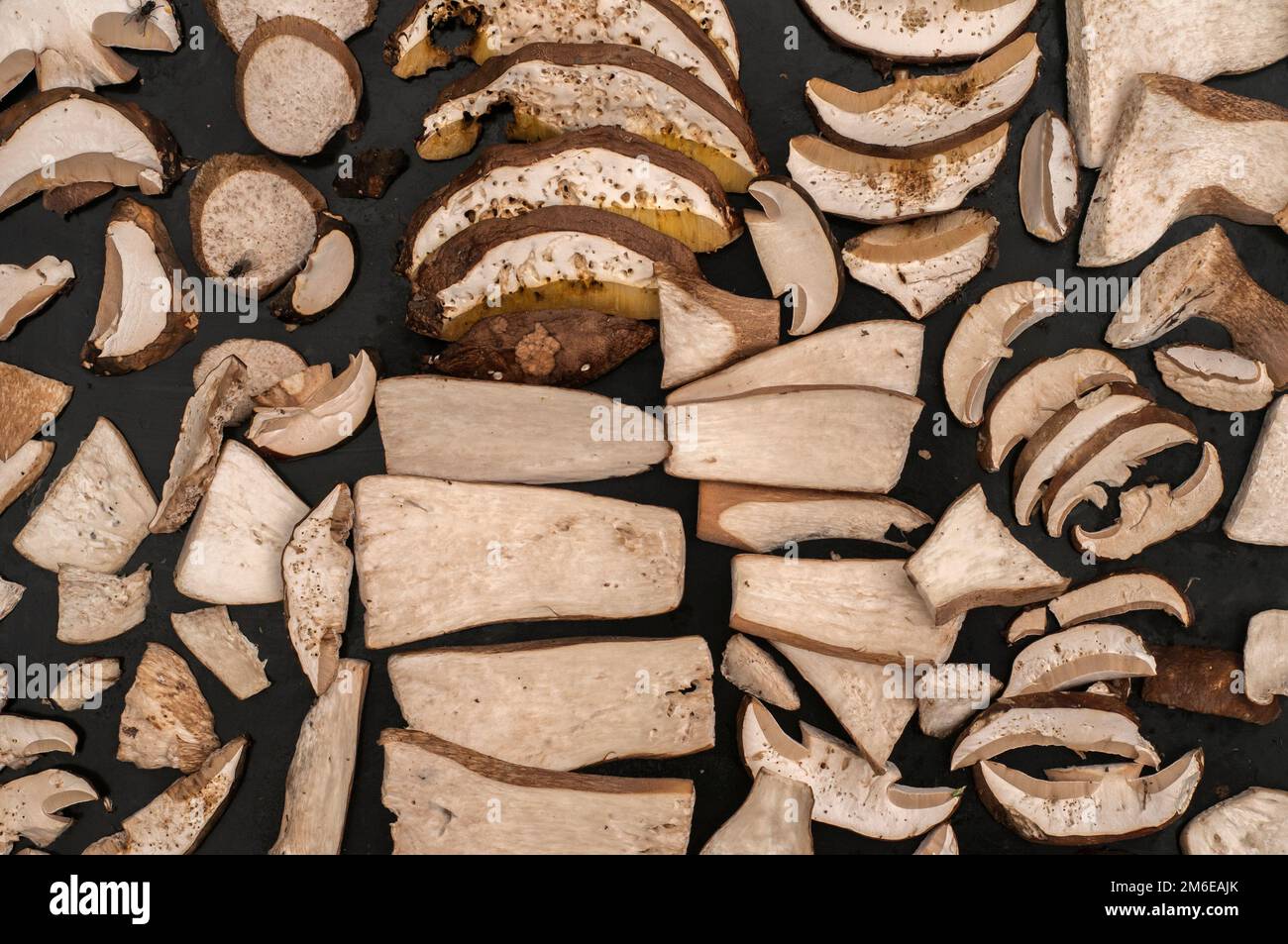 Funghi freschi di boletus edulis tagliati a fette preparati per l'essiccazione Foto Stock