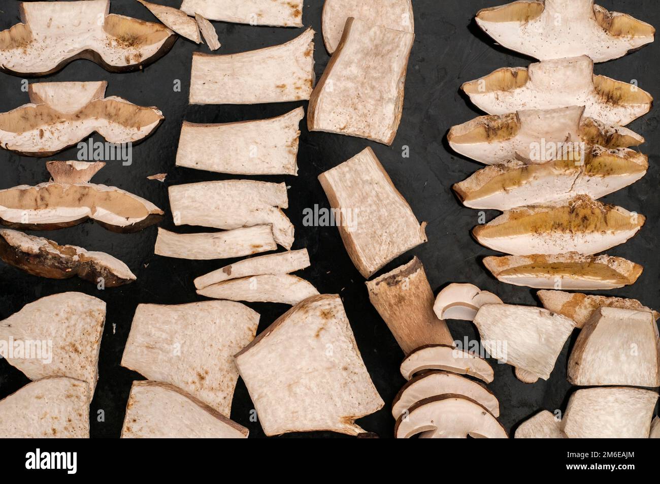 Funghi freschi di boletus edulis tagliati a fette preparati per l'essiccazione Foto Stock