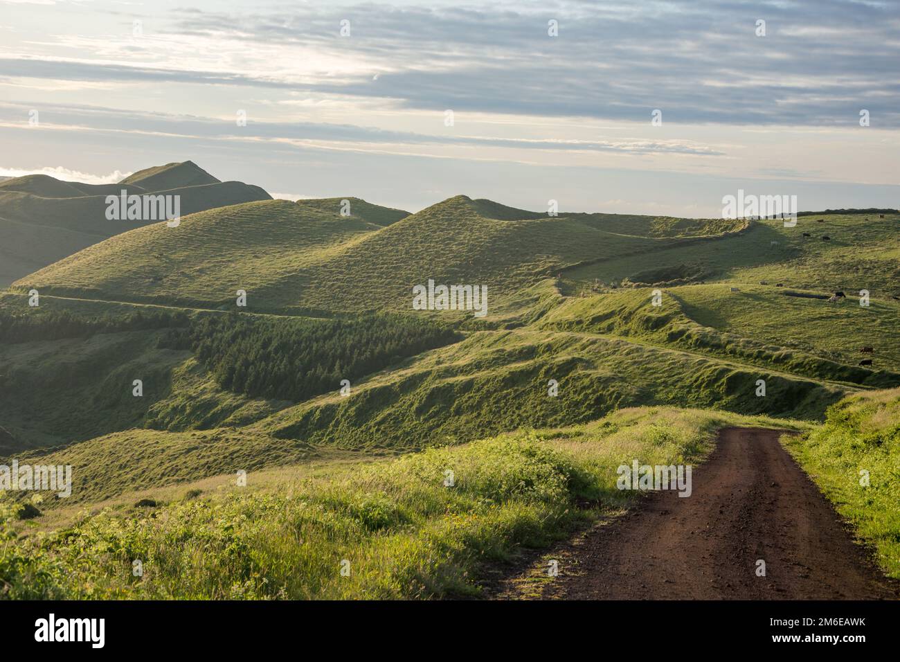 Passeggiata sull'arcipelago delle Azzorre. Scoperta dell'isola di sao jorge, Azzorre. Velas Foto Stock