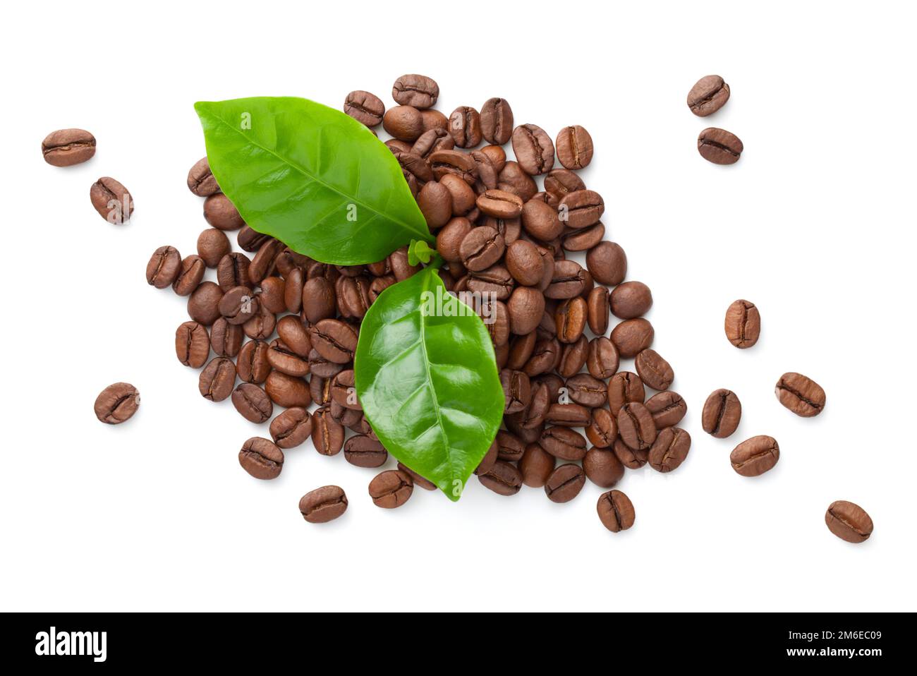 Mucchio di fagioli di caffè con foglie verdi Foto Stock