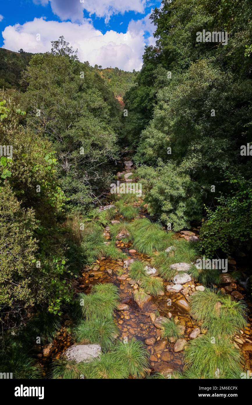 Sistelo, Portogallo: Acqua cristallina dal fiume Vez - piccolo ruscello con pietre in una profonda valle tra le montagne - Escursionismo, Na Foto Stock