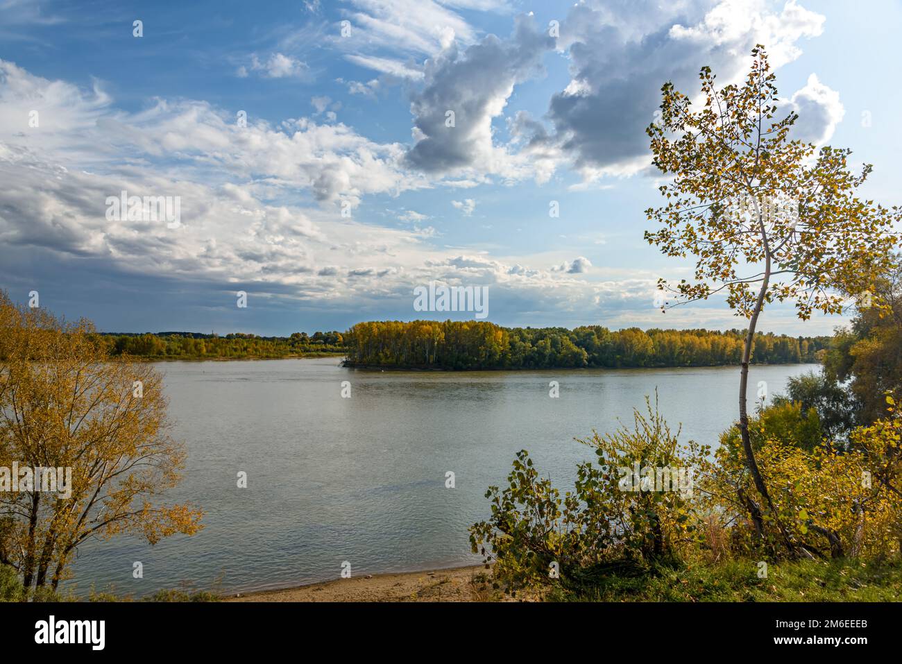 Paesaggio autunnale con vista sul fiume e sulla foresta Foto Stock