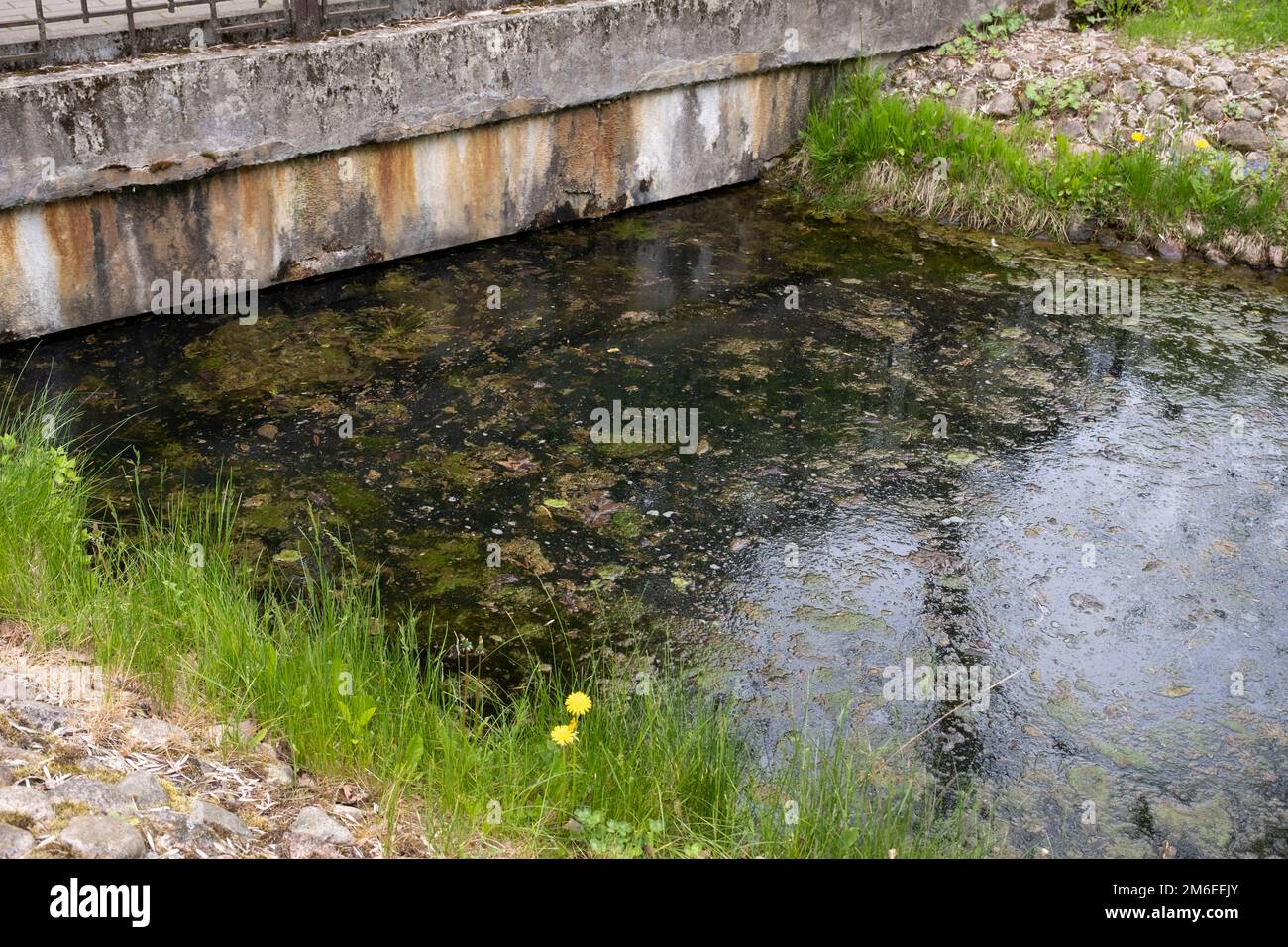 Acque reflue sporche dalla fogna cittadina. Acque reflue o acque reflue domestiche che sono il prodotto di una comunità di persone Foto Stock