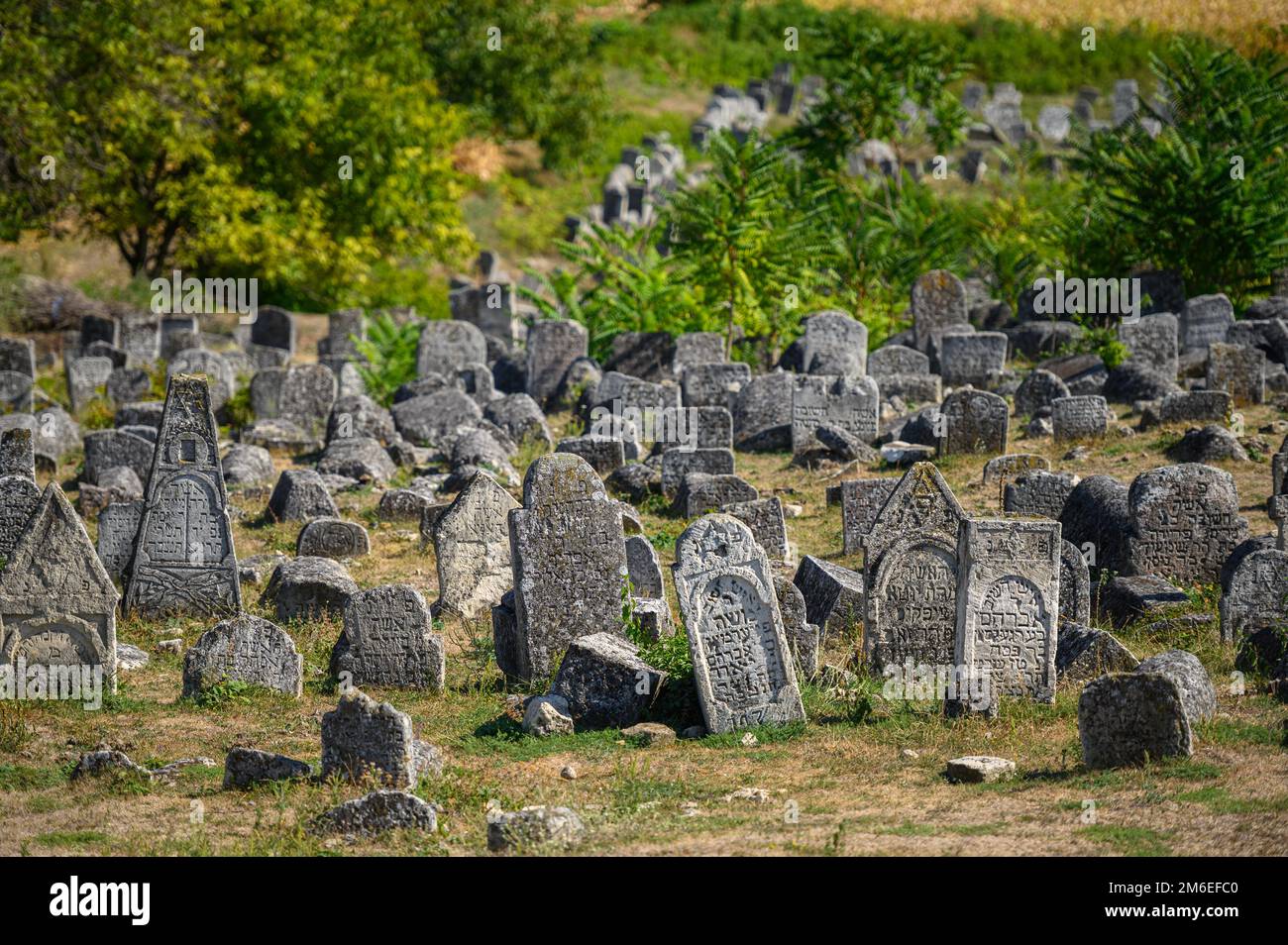 Antiche lapidi presso l'antico cimitero ebraico di Vadul liu Rascov in Moldavia Foto Stock