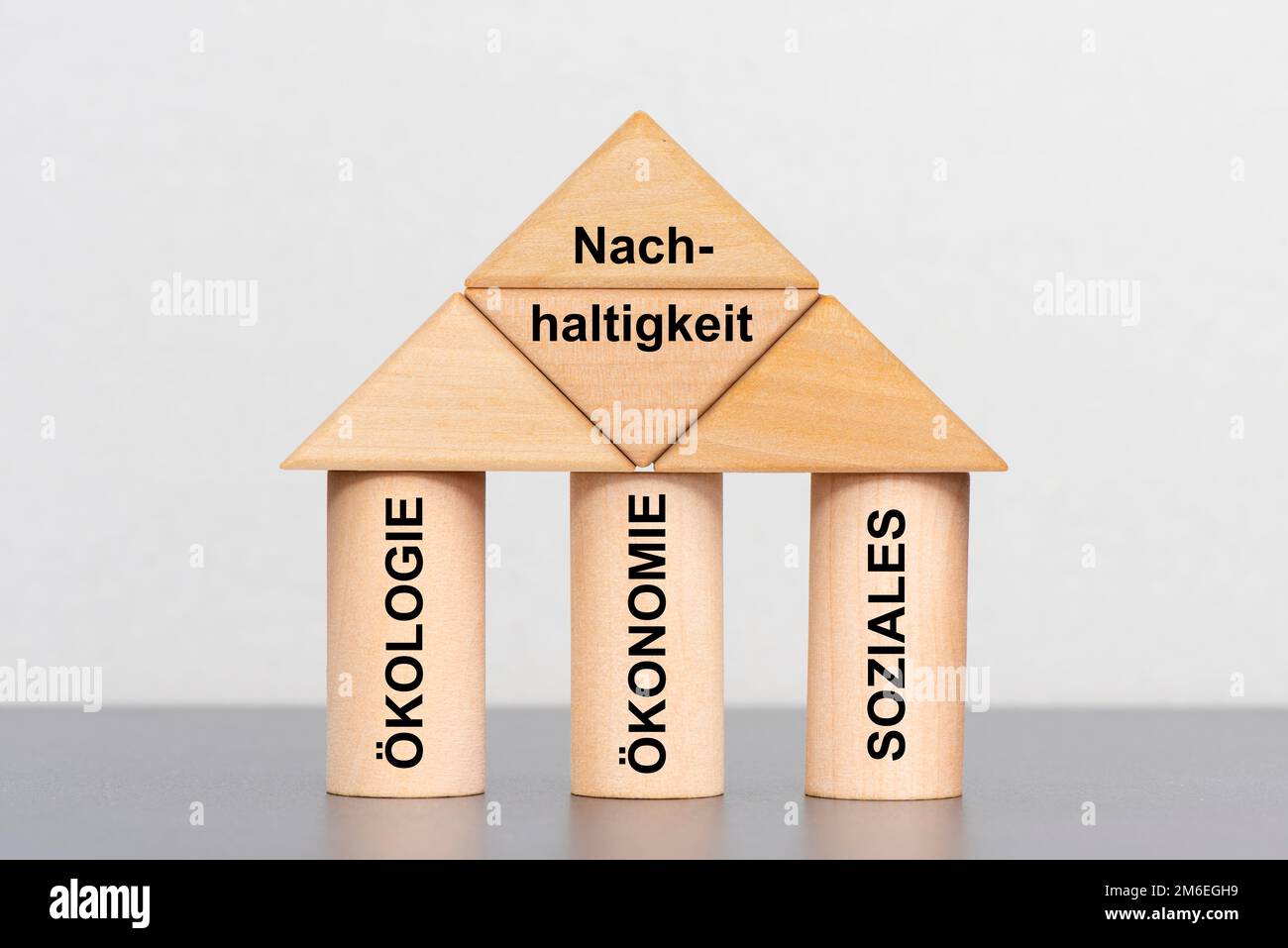 Sostenibilità con ecologia, economia e questioni sociali Foto Stock