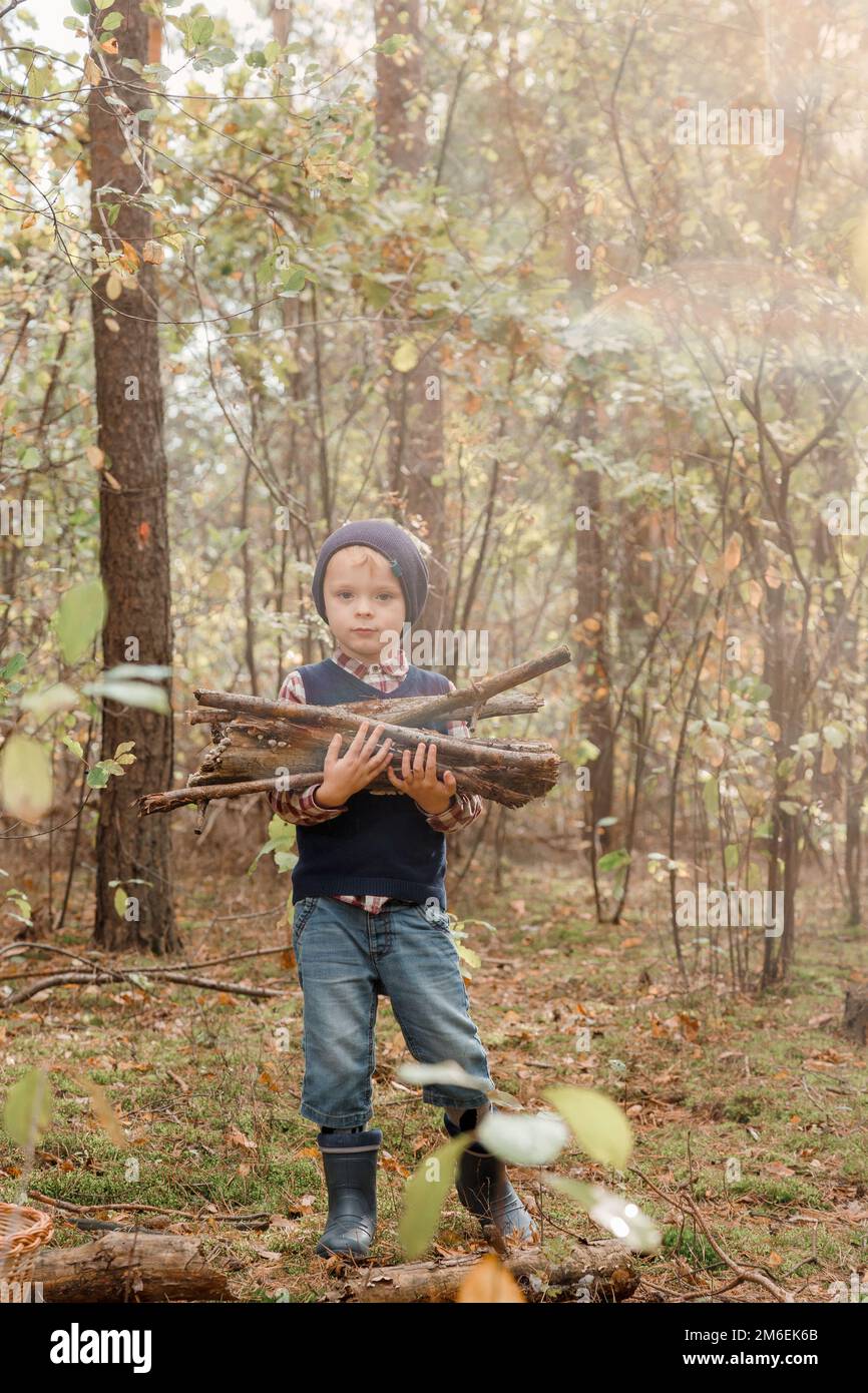 Un bambino raccoglie legna da ardere nella foresta. Piccolo lumberjack. Il  ragazzo cerca vecchi rami d'albero. Bambino e legna da ardere. Autunno Foto  stock - Alamy