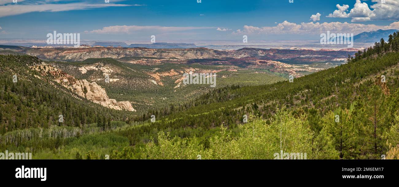 Vista in lontananza di WaterPocket Fold, Capitol Reef, da Larb Hollow Overlook, Journey Through Time Scenic Byway (Utah 12), Dixie National Forest, Utah Foto Stock
