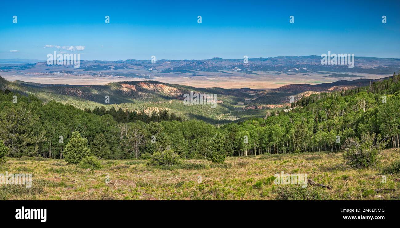 Johns Valley, Sevier Plateau in lontananza, vista da Griffin Top, FR 140 (Griffin Rd), Escalante Mountains, Dixie National Forest, Utah, USA Foto Stock