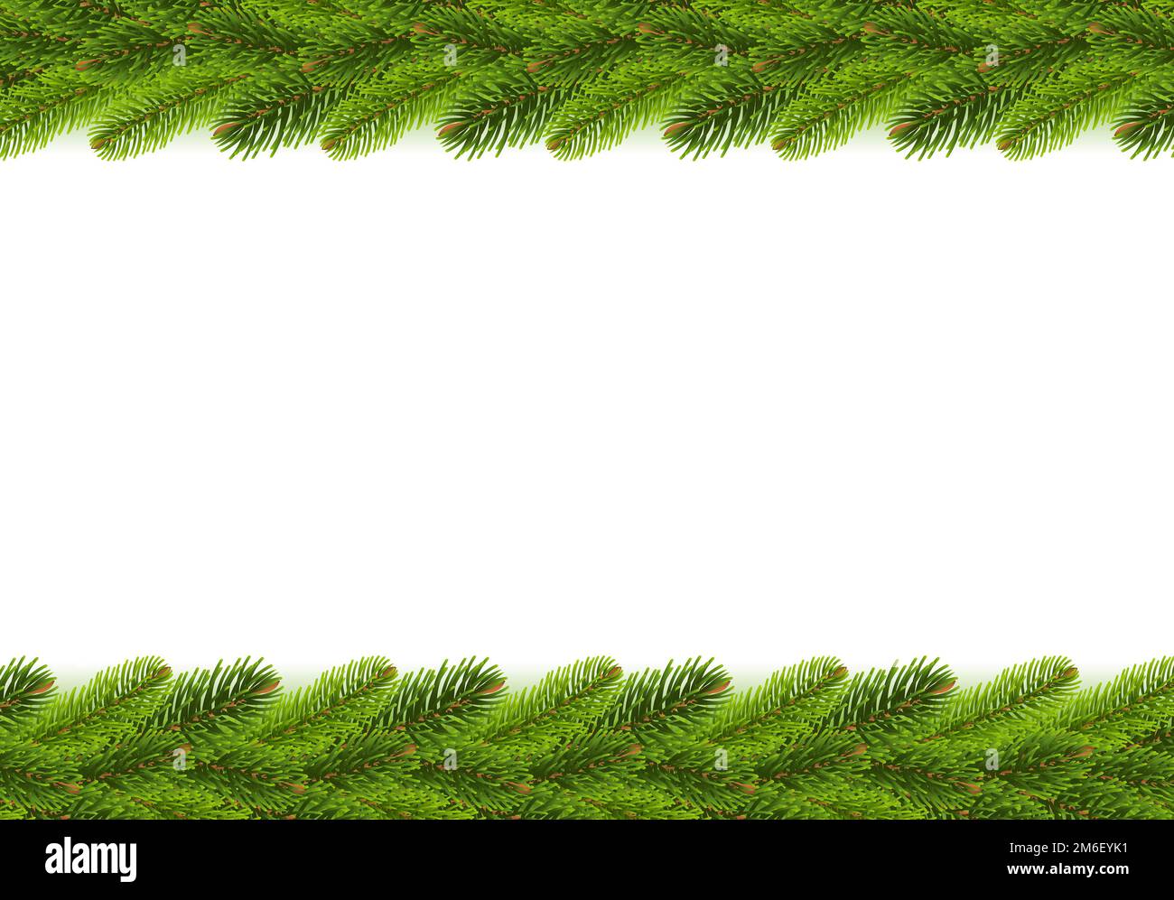 Xmas Green Fir Tree rami confini Foto Stock