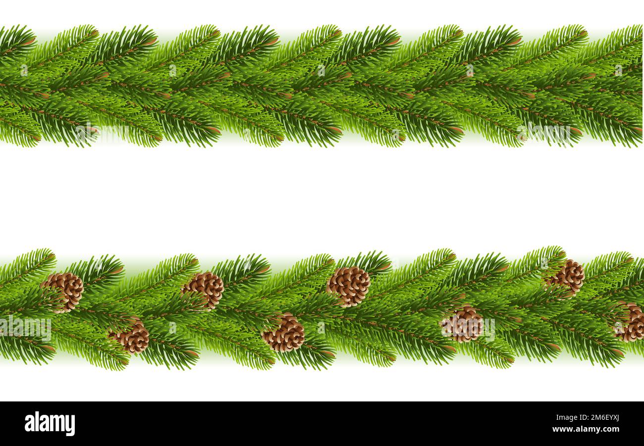 Rami di abete rosso con coni bordi Set sfondo bianco Foto Stock