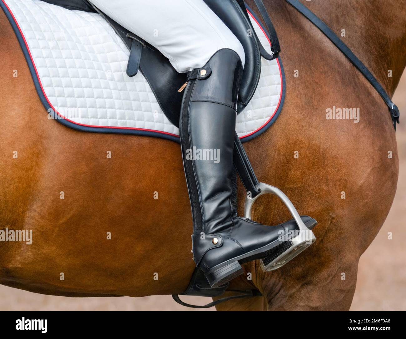 Immagine ravvicinata dello scarpone da corsa da jockey nella staffa. Cavaliere sul cavallo della baia. Foto Stock