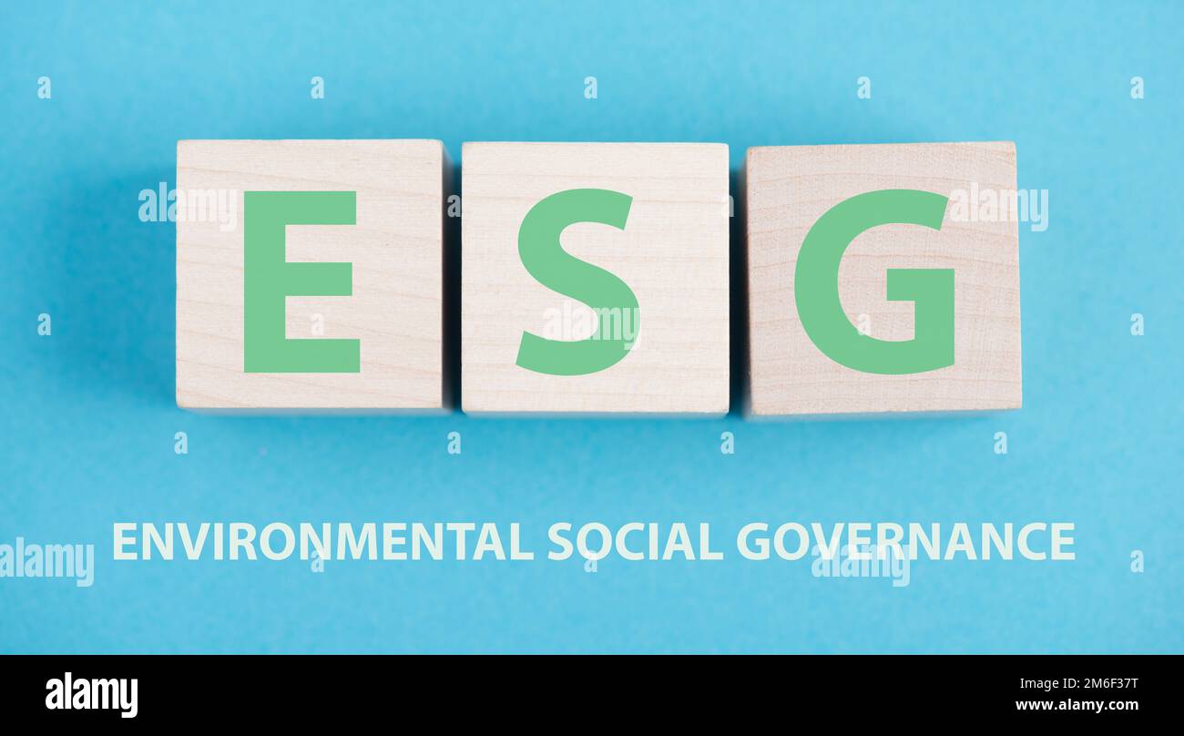 Concetto ESG, governance sociale ambientale, business sostenibile ed etico Foto Stock