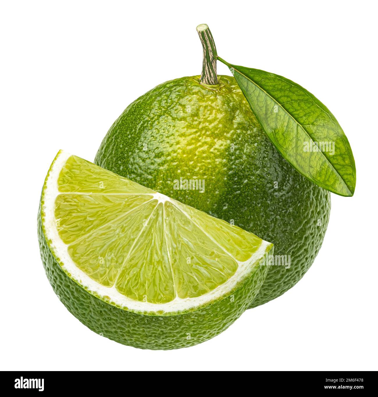 Lime agrumi isolati su sfondo bianco Foto Stock