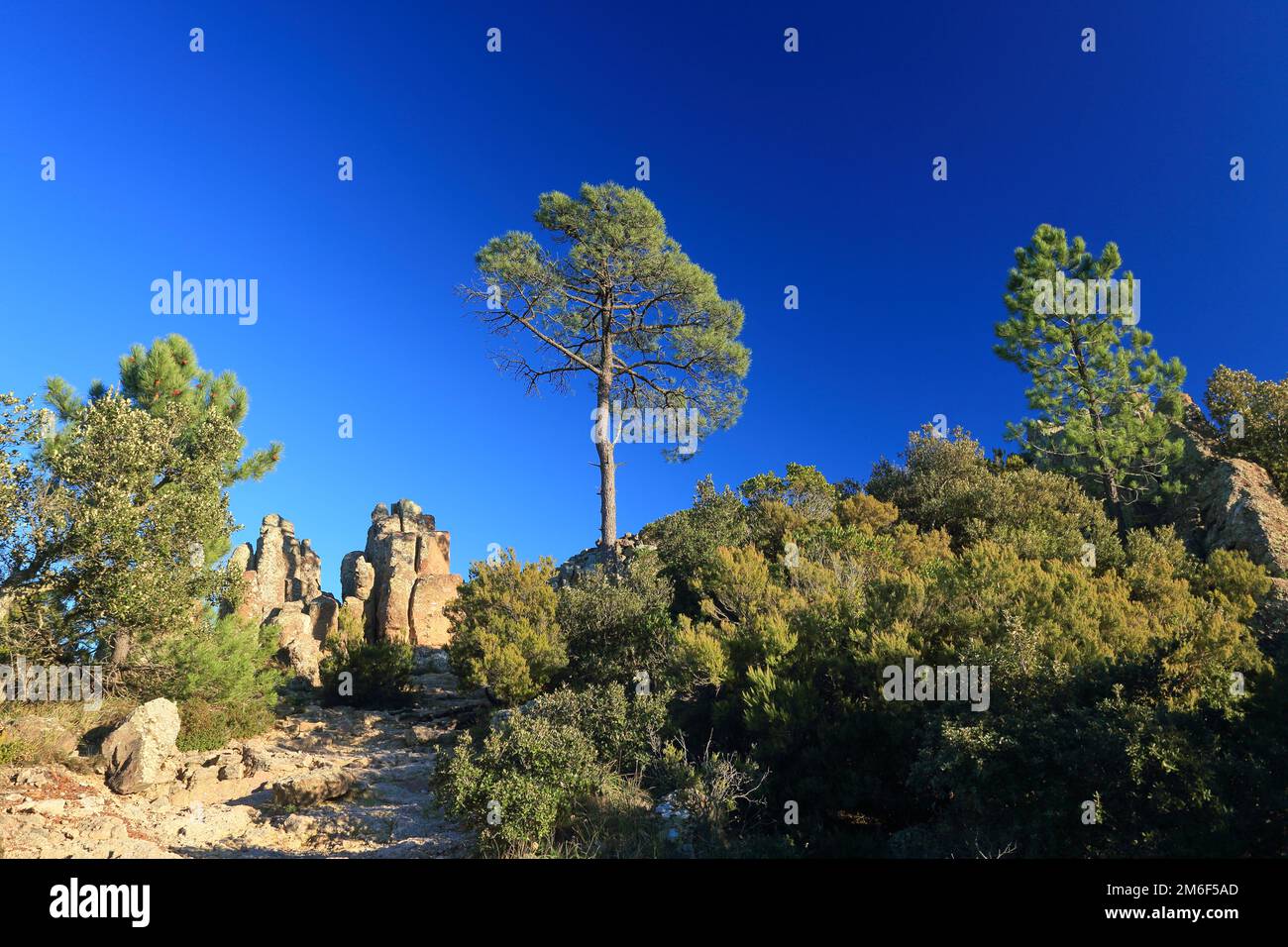 Vista dall'alto da Mont Vinaigre, Esterel, var, 83, PACA Foto Stock