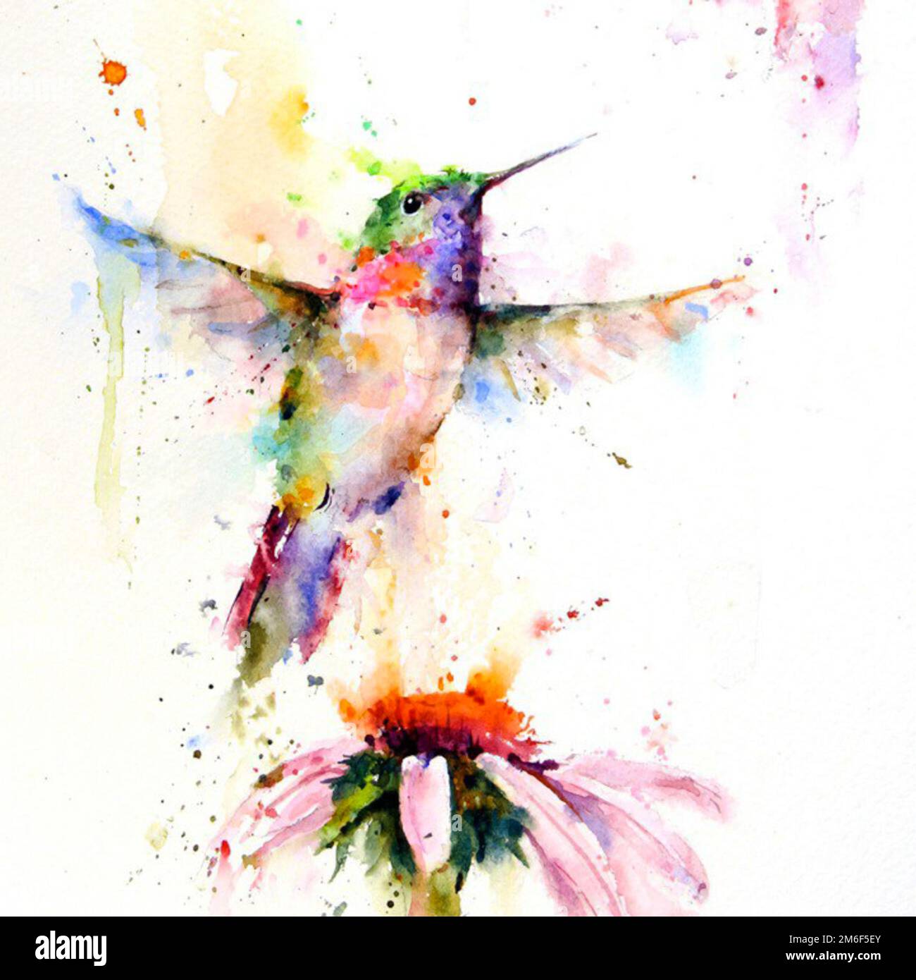Hummingbird a fiore, disegno con acquerello. Foto Stock