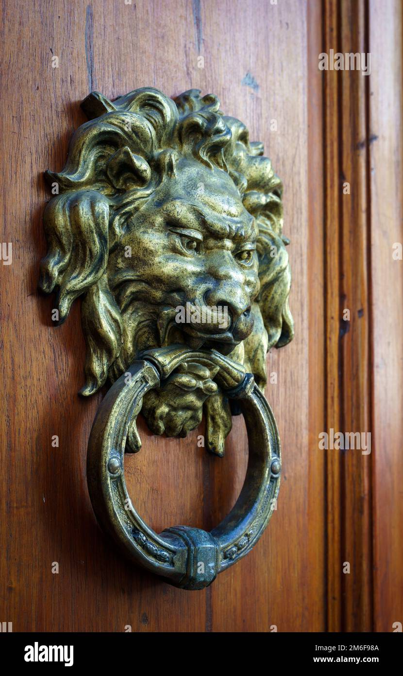 Antico maniglione decorativo sulla porta della casa d'epoca in legno. Testa di leone in bronzo metallico classico. Foto di alta qualità Foto Stock