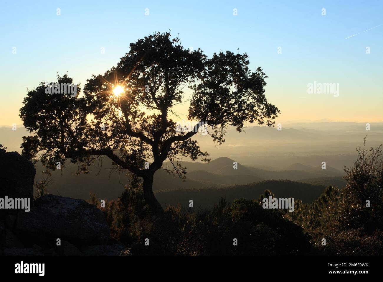 Vista dall'alto da Mont Vinaigre, Esterel, var, 83, PACA Foto Stock