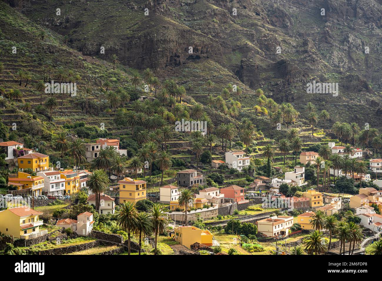 Kulturlandschaft mit Palmen im Valle Gran Rey, la Gomera, Kanarische Inseln, Spanien | Paesaggio con palme, Valle Gran Rey, la Gomera, Canary i Foto Stock