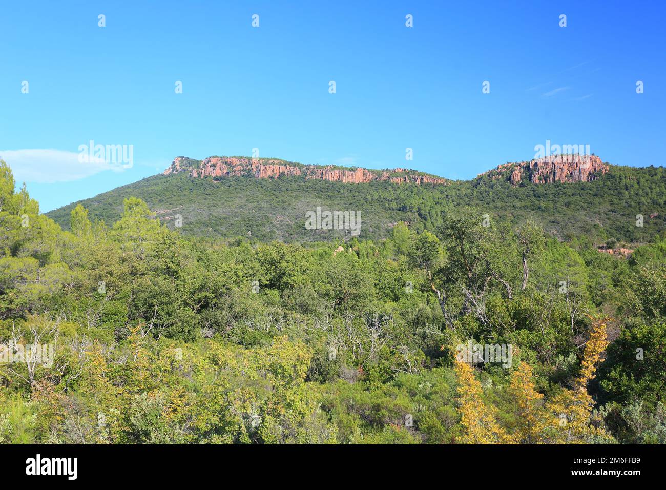 Gorges du Blavet, Var, 83, Provenza Foto Stock