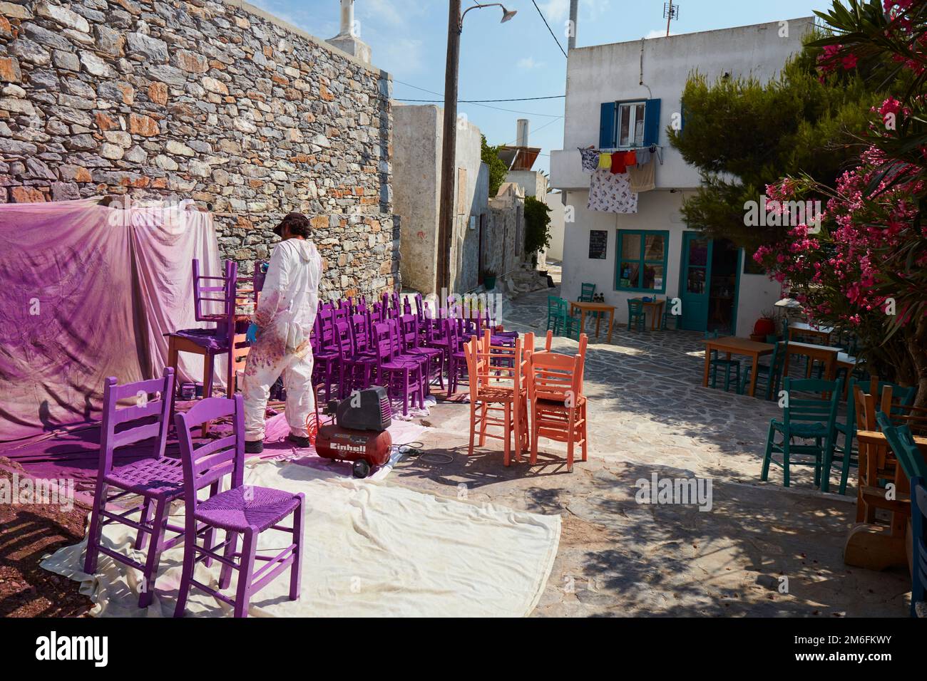 Uomo dipingere sedie in viola per la nuova stagione Foto Stock