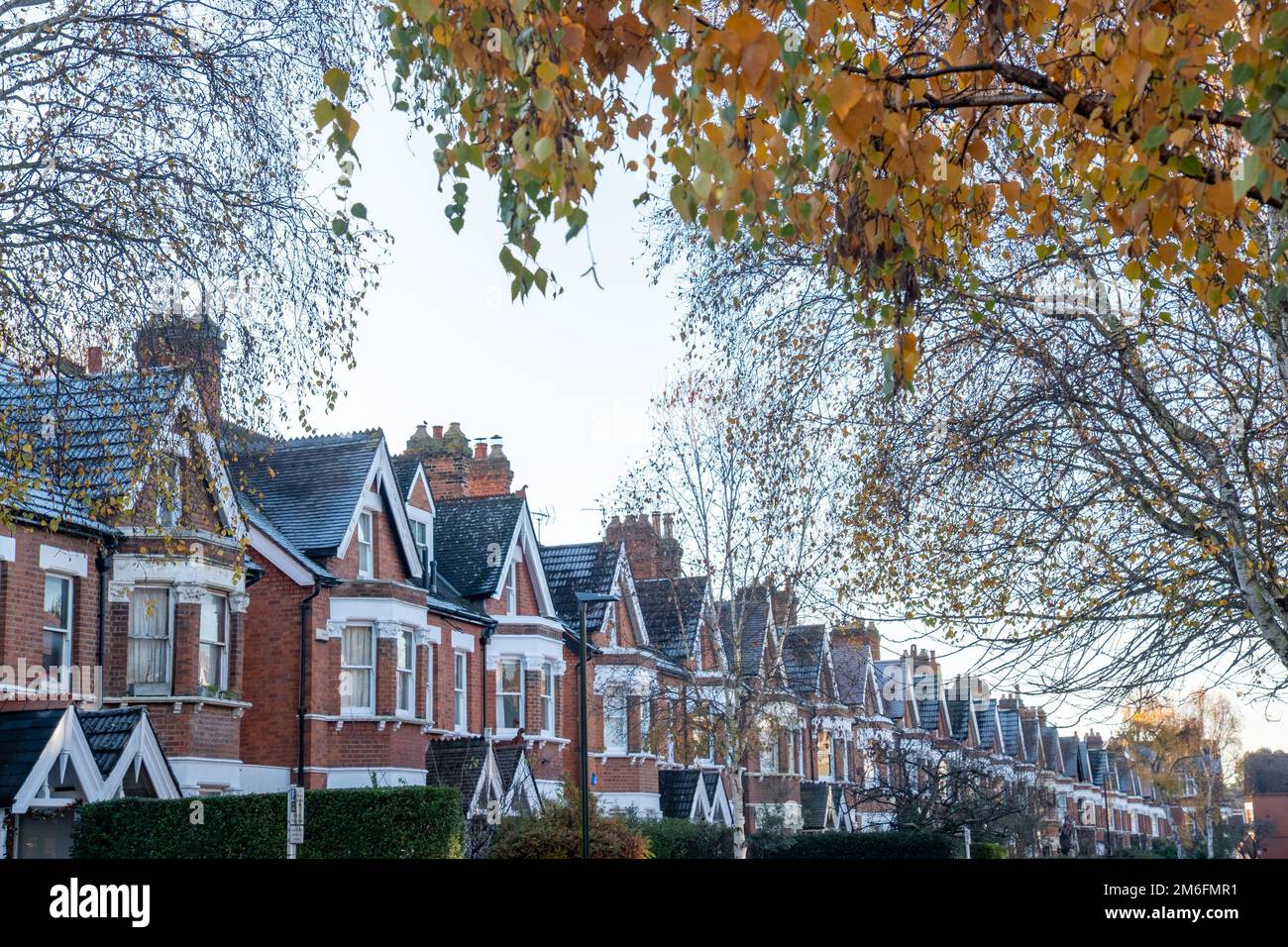 Tipica fila di case a schiera britanniche di lusso nel sud-ovest di Londra Foto Stock