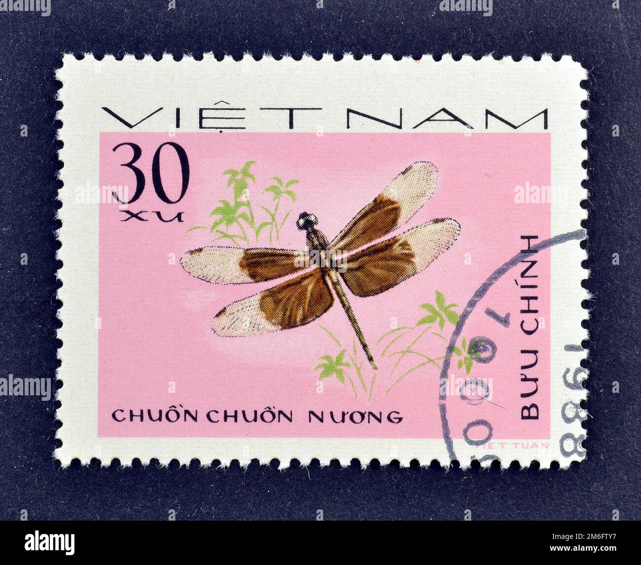 Francobollo cancellato stampato dal Vietnam, che mostra Dragonfly, circa 1988. Foto Stock