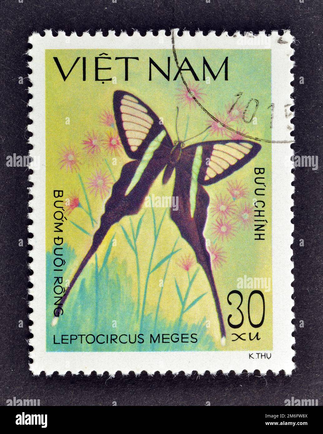 Francobollo annullato stampato dal Vietnam, che mostra la coda del Drago Verde (Leptocircus meges), circa 1983, Foto Stock