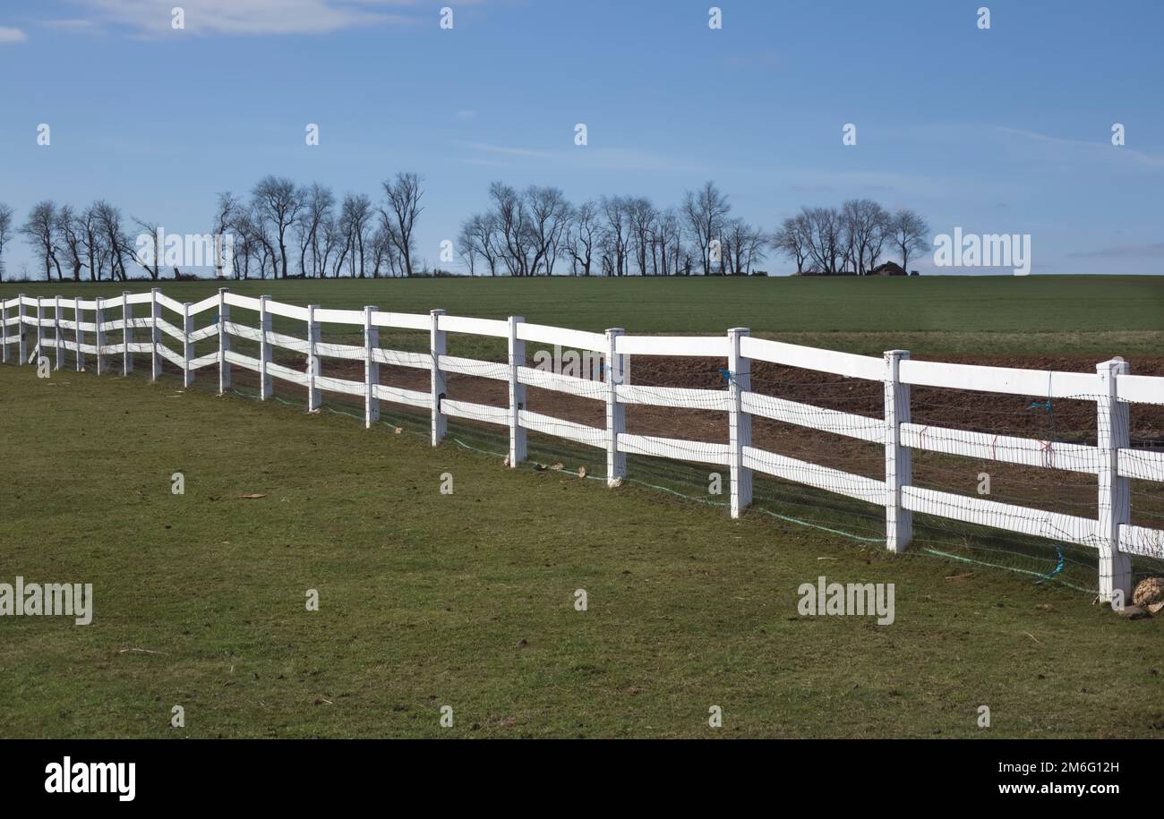 Recinzione bianca nel paese Amish, Foto Stock