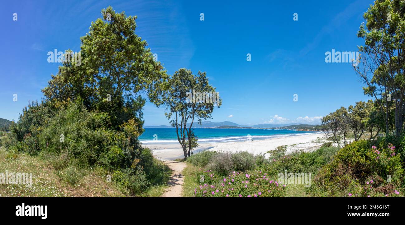 Scoperta dell'isola di bellezza nella Corsica meridionale, Francia Foto Stock