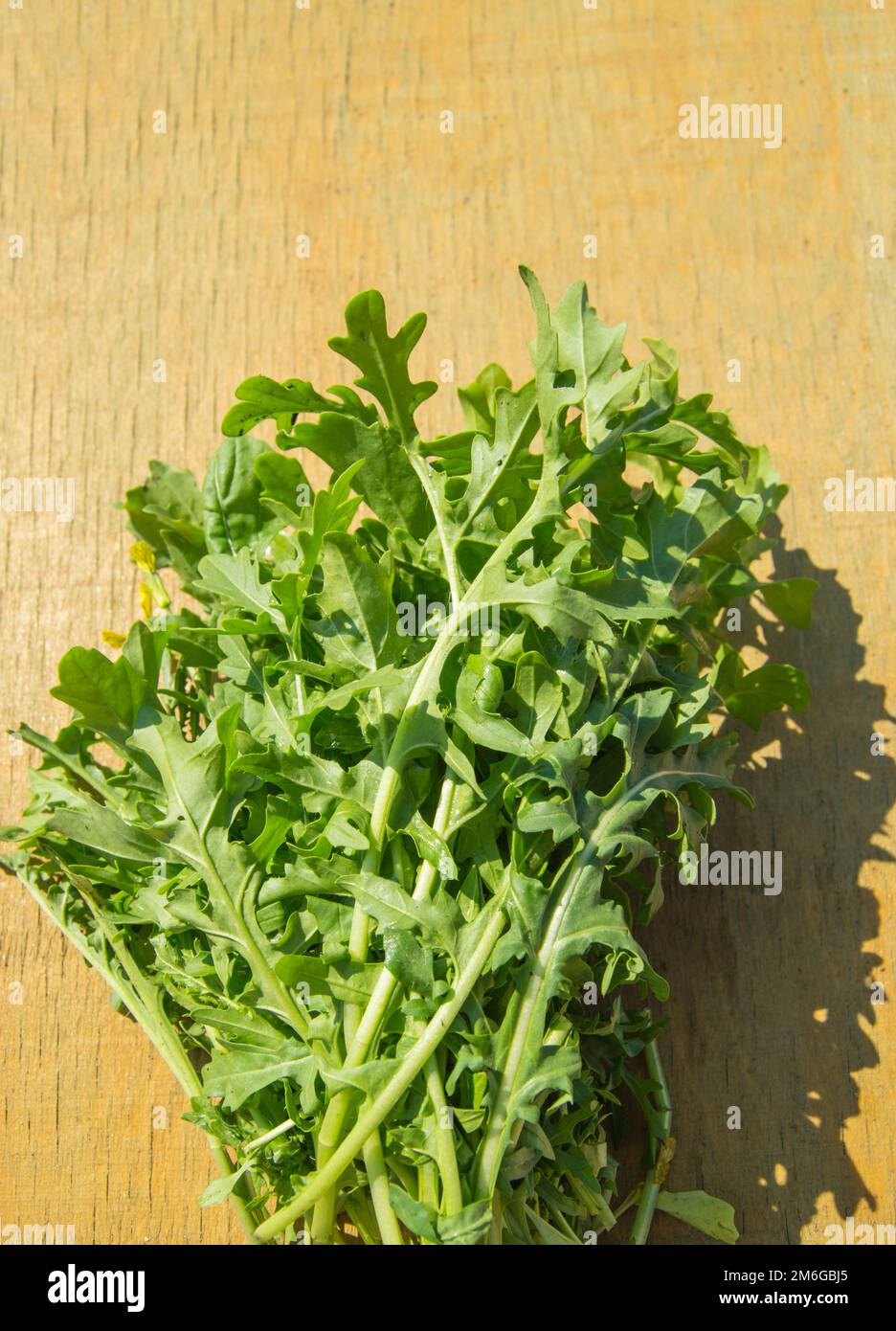 Un mazzo di fresca rucola verde su uno sfondo di legno chiaro, luce solare brillante, vista dall'alto, piatto Foto Stock