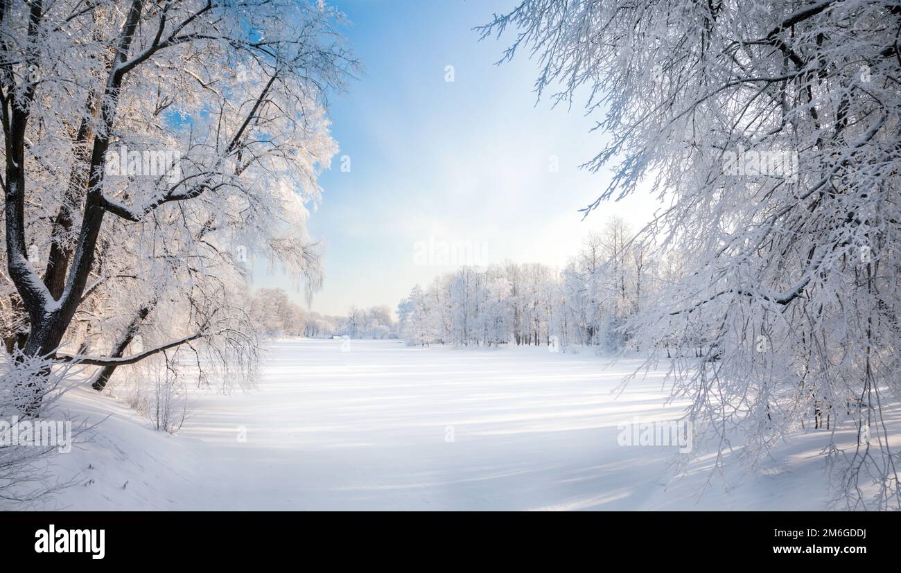 Panorama del bellissimo parco invernale Foto Stock