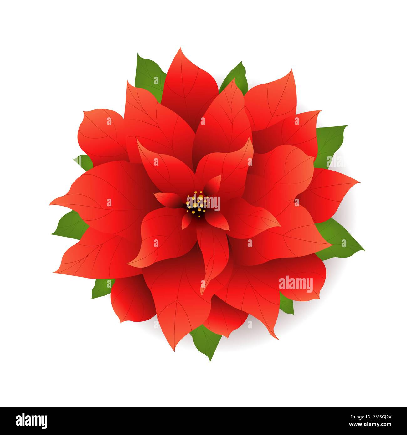 Buon anno Banner con Poinsettia Foto Stock