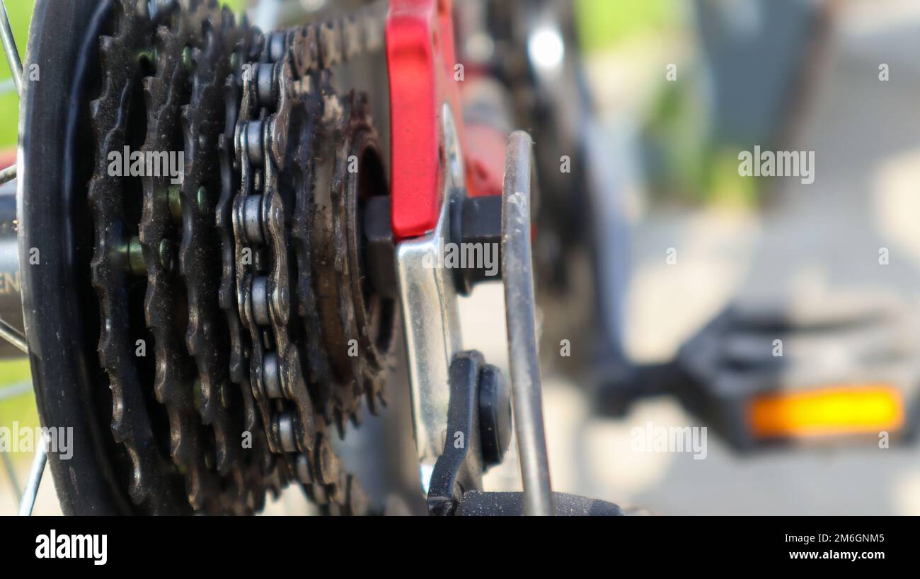 Primo piano di una serie posteriore di pignoni di cambio marcia sulla ruota posteriore di una moderna mountain bike con catena. Riparazione di biciclette. Foto Stock