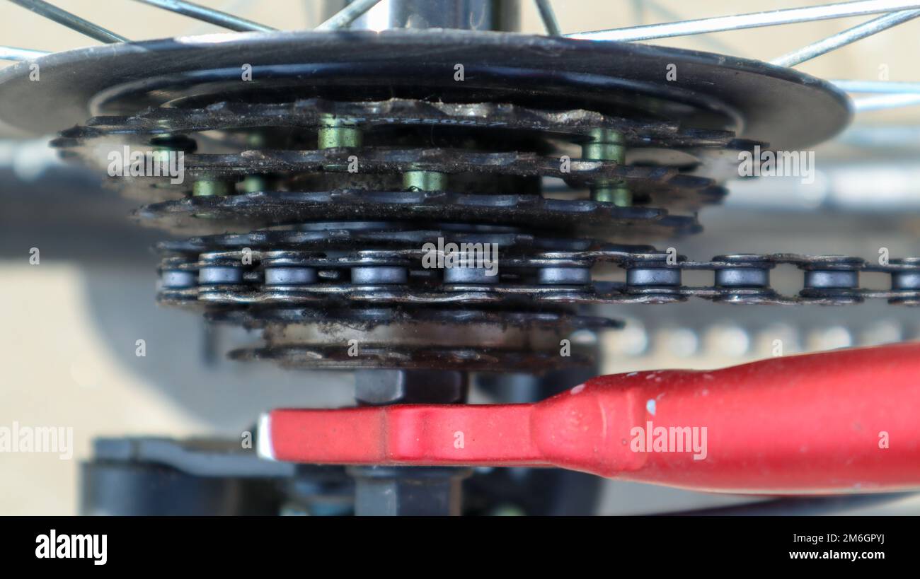 Primo piano di una serie posteriore di pignoni di cambio marcia sulla ruota posteriore di una moderna mountain bike con catena. Riparazione di biciclette. Foto Stock