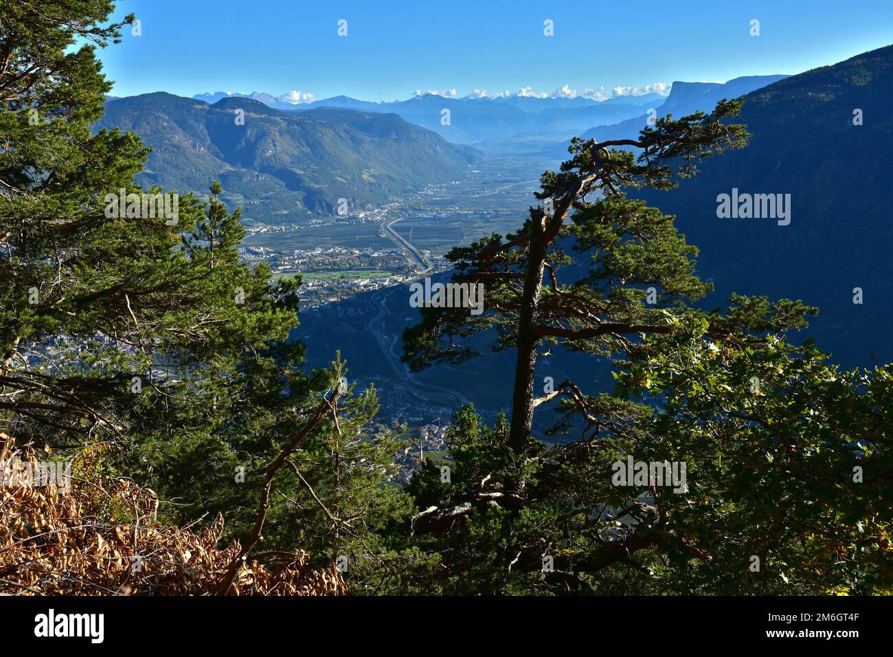 Alto Adige vicino a Merano, vista su Merano fino alle Dolomiti Latemar Foto Stock