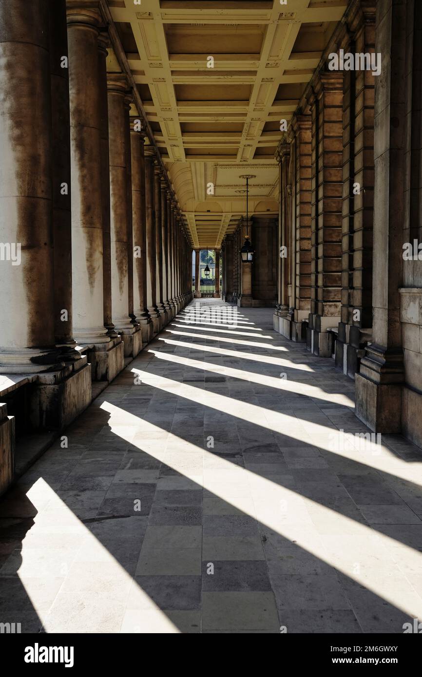 gli alberi di luce solare attraverso le colonne creano strisce di ombra e luce Foto Stock