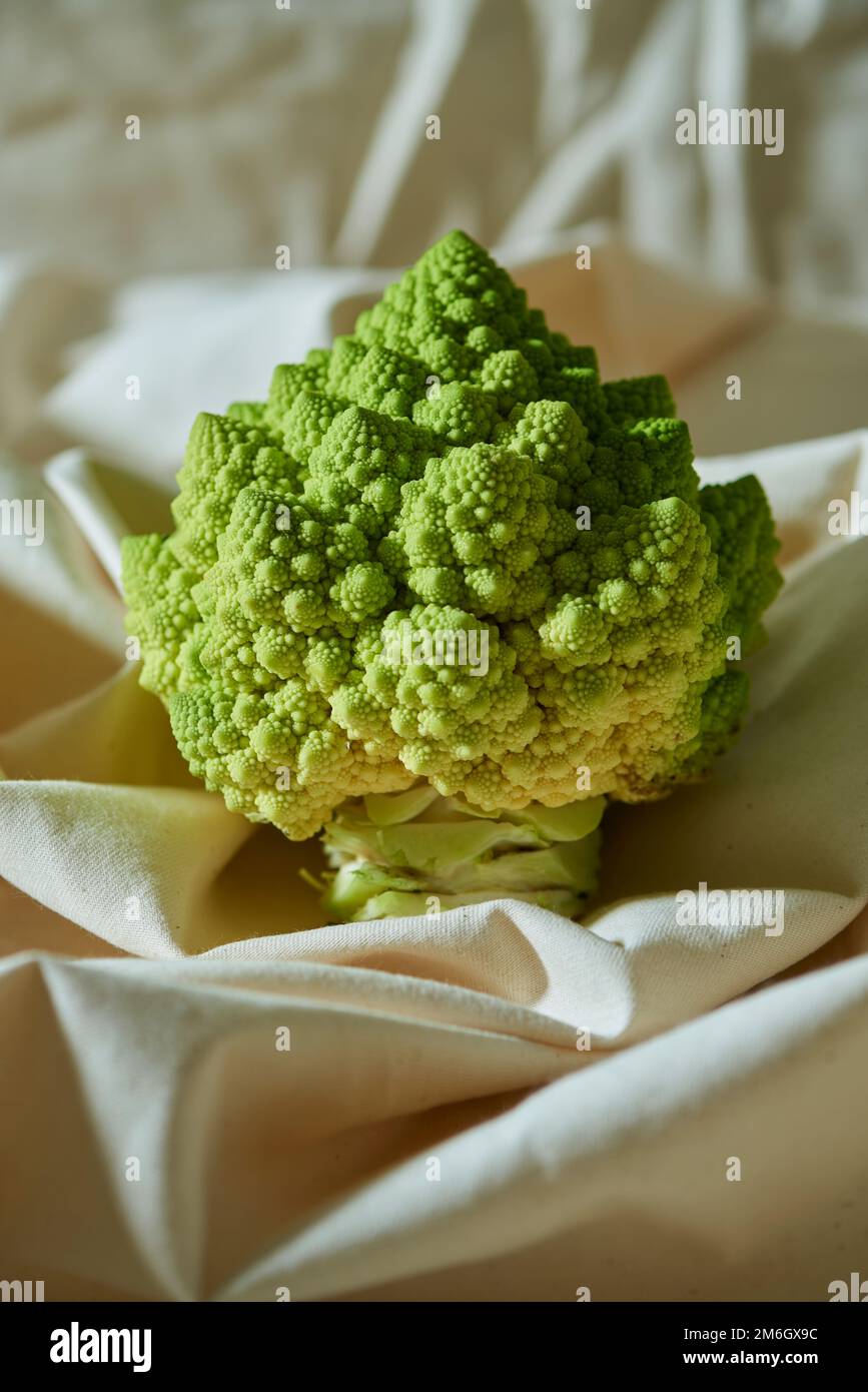 Un primo piano di romanesco broccoli girato in uno studio Foto Stock