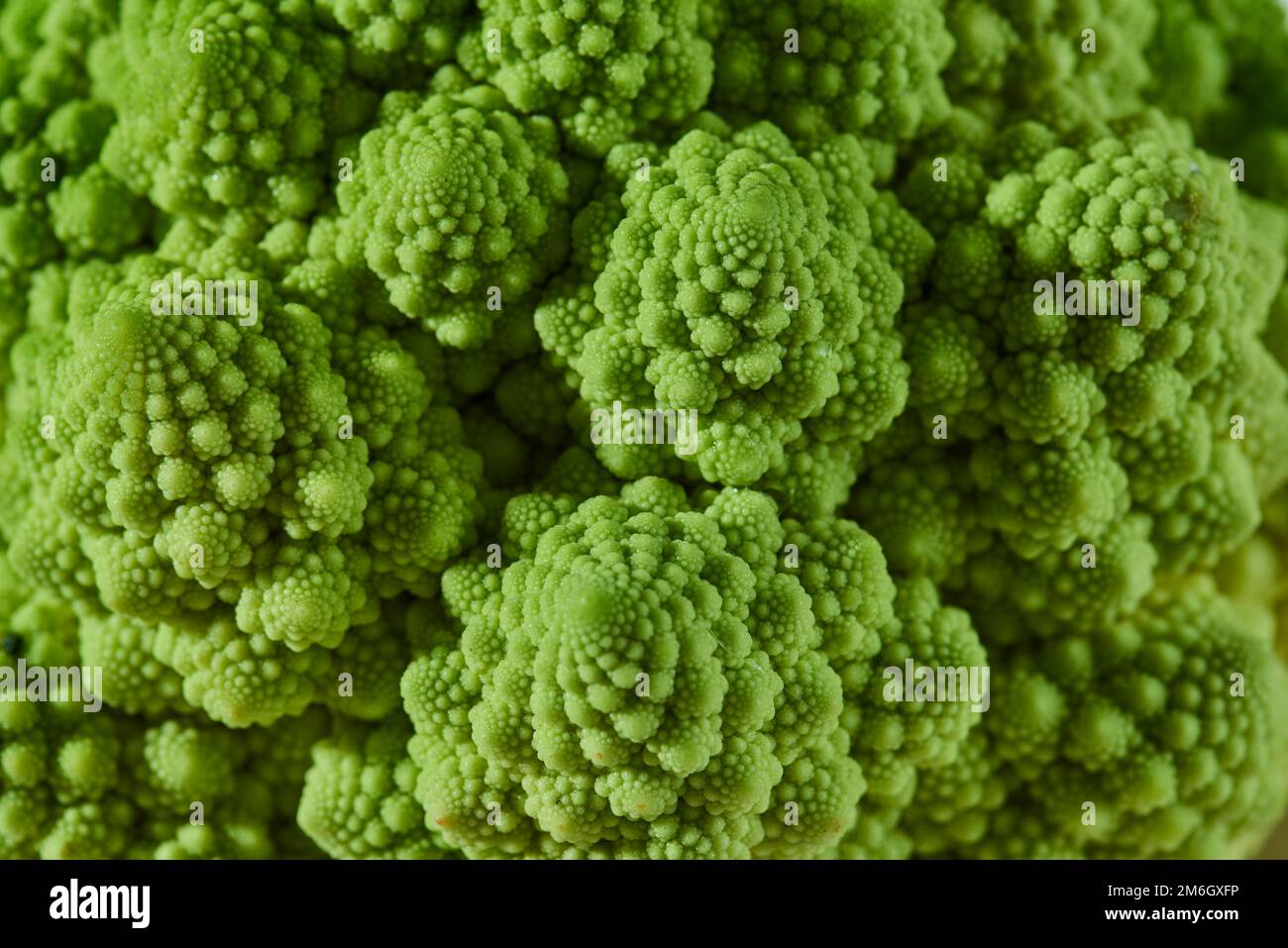 Un primo piano di romanesco broccoli girato in uno studio Foto Stock