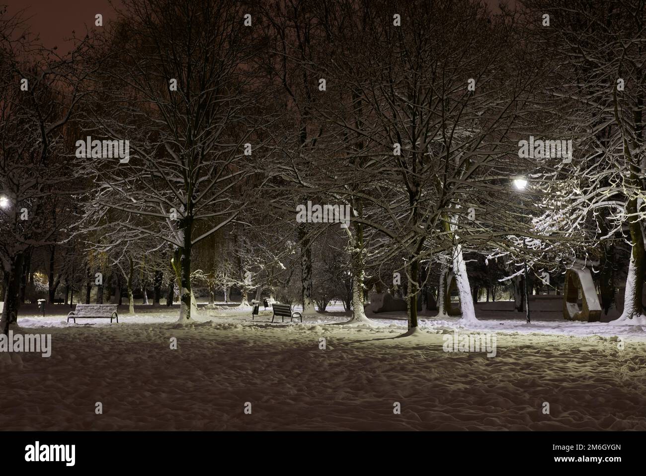 Tranquillità in un parco innevato tra alberi e panchine. Foto Stock
