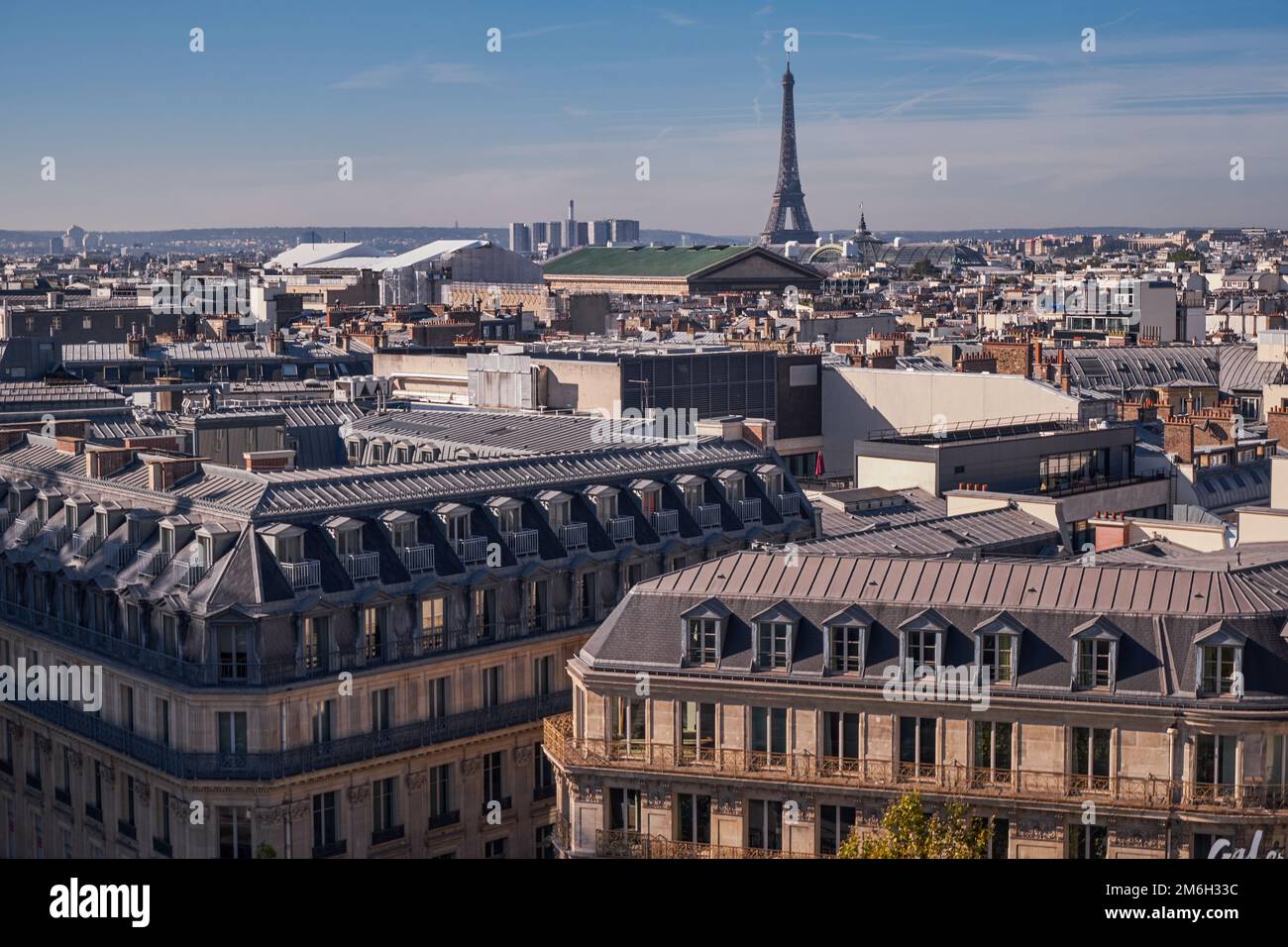 Vista della Torre Eiffel da un tetto - Parigi, Francia Foto Stock