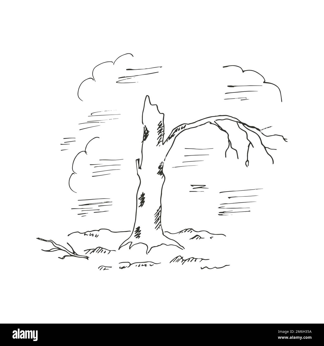 Relitto di un albero dopo il bombardamento Illustrazione Vettoriale
